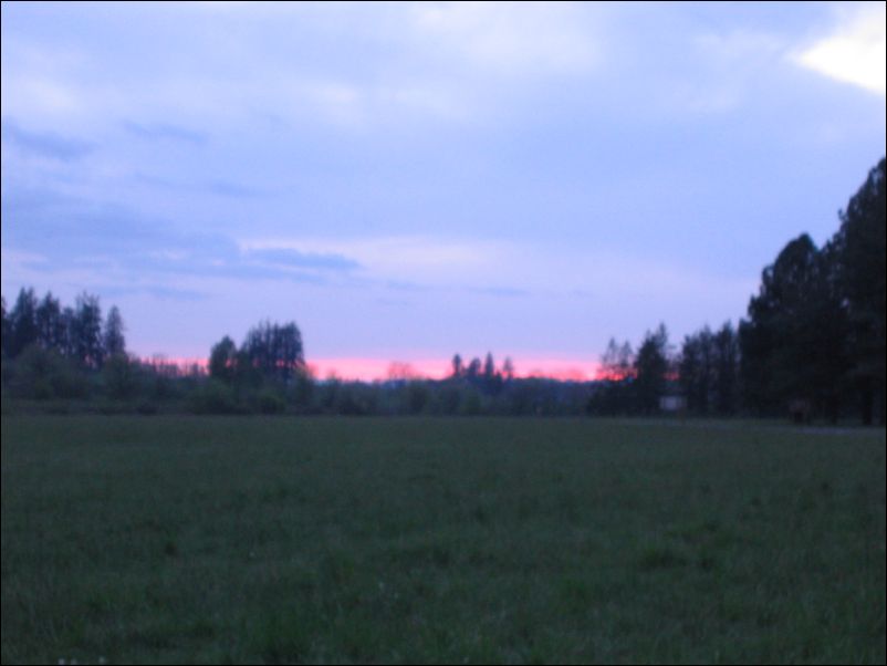 img_1419.jpg